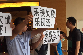 安康债务清欠服务